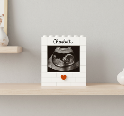 Customized Ultrasound Building Brick Set